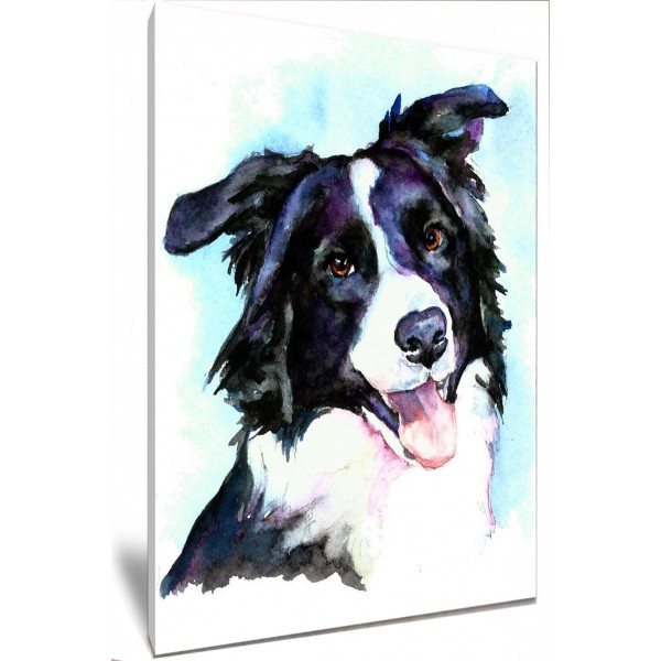 Watercolour Border Collie Dog