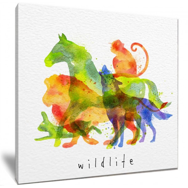 Watercolour Wildlife Art