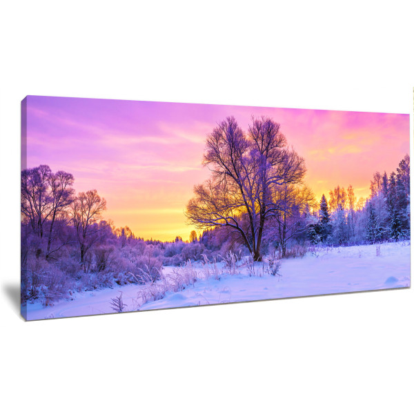 Winter Panorama Snowy Forest Sunrise